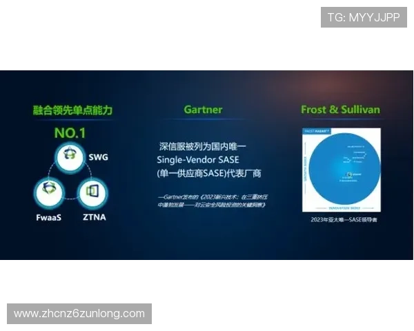 探索尊龙网址官方地址的重要性与用户体验
