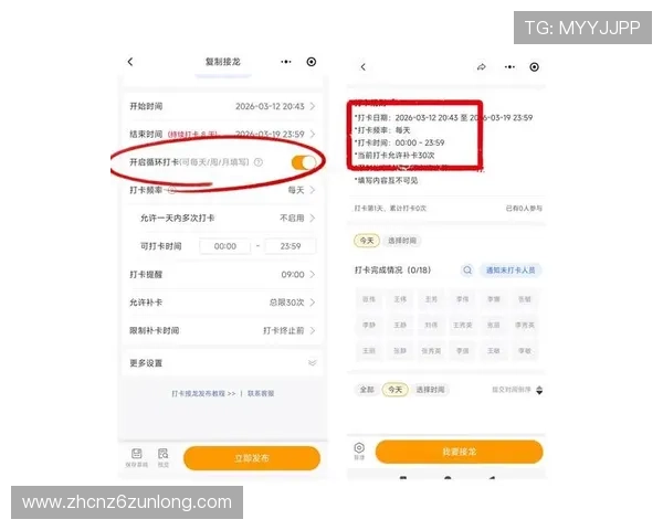 如何通过尊龙体育官方地址查询确保账号安全与顺畅体验的详细操作流程