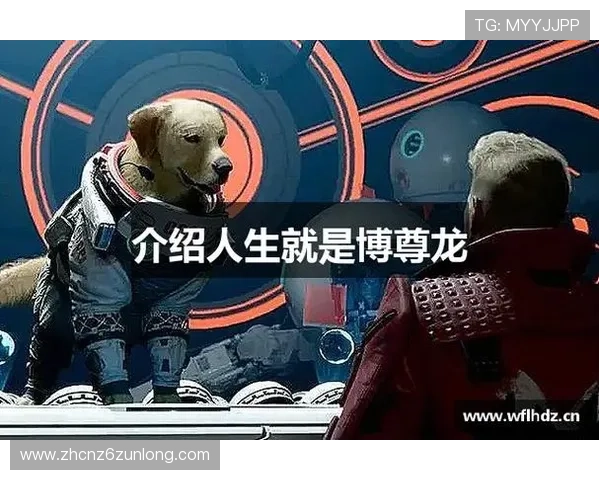 尊龙开始人生就是博：在游戏行业中实现自我价值的实用指南